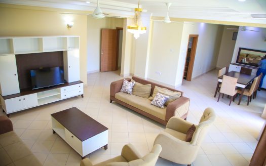 Double Dolphin Apartments Spaces for Rent